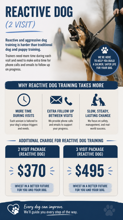Reactive Dog 2 Session Package (Zen Dog Training)