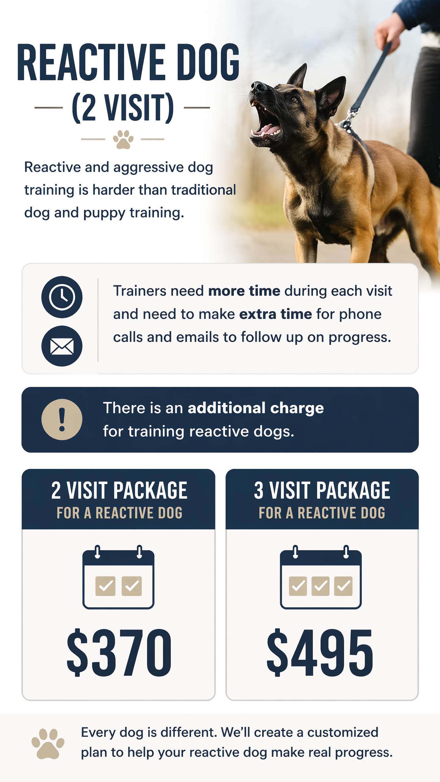 Reactive Dog 2 Session Package (Zen Dog Training)