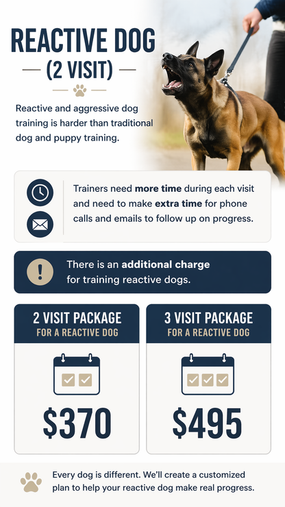 Reactive Dog 2 Session Package (Zen Dog Training)