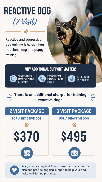 Reactive Dog 2 Session Package (Zen Dog Training)