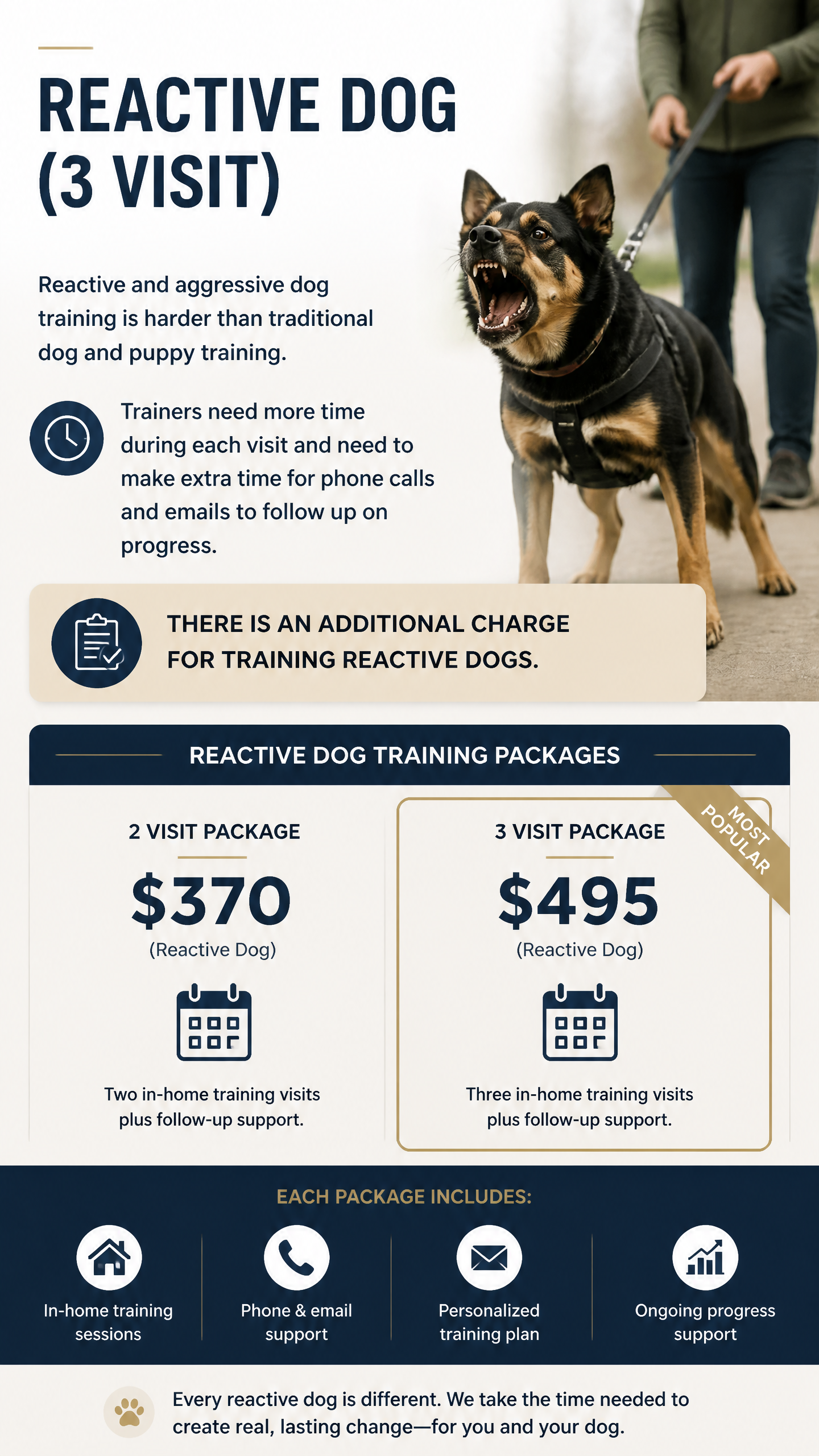 Reactive Dog 3 Session Package (Zen Dog Training)