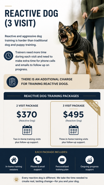 Reactive Dog 3 Session Package (Zen Dog Training)