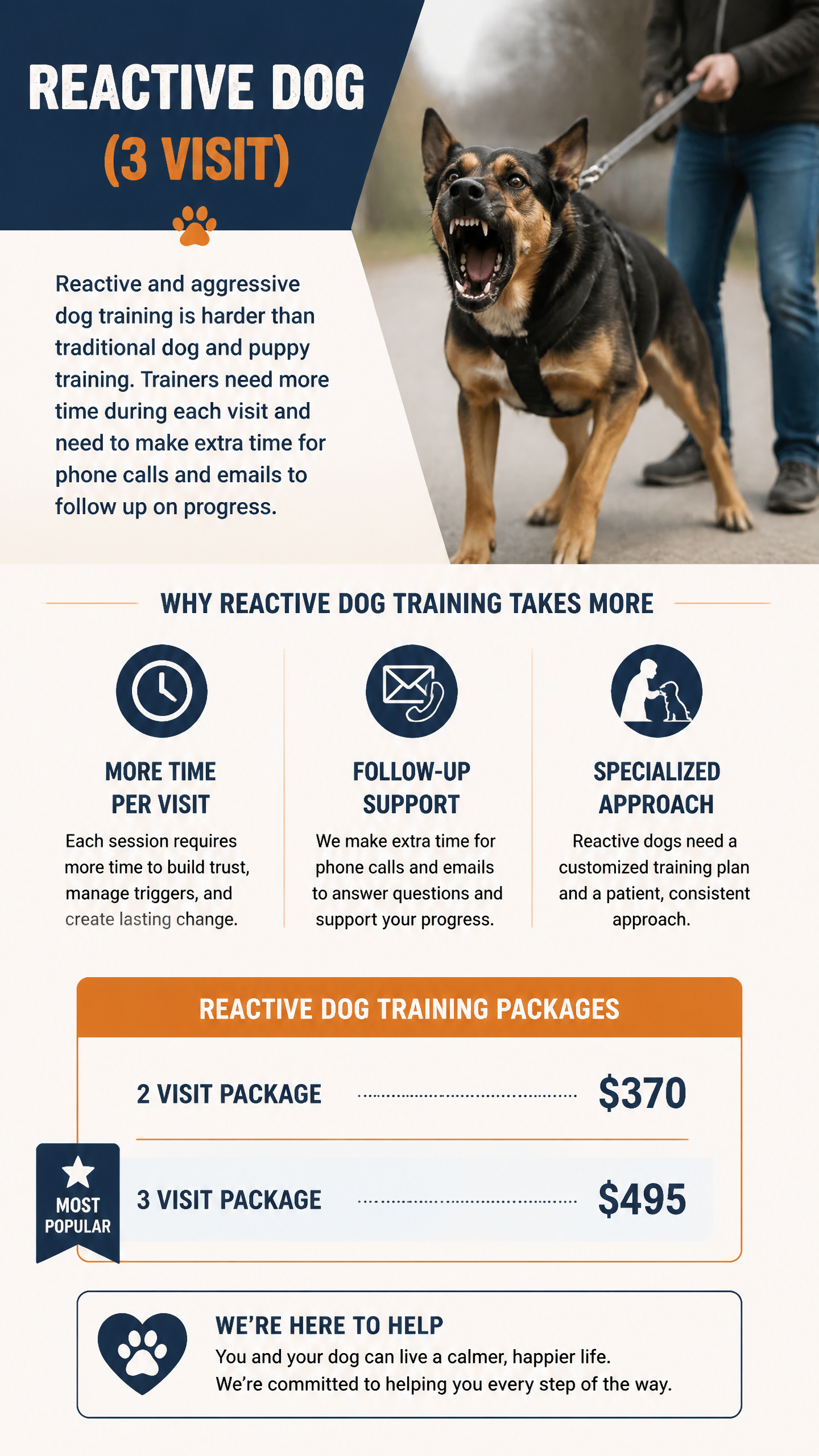 Reactive Dog 3 Session Package (Zen Dog Training)