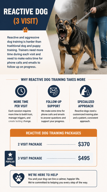 Reactive Dog 3 Session Package (Zen Dog Training)