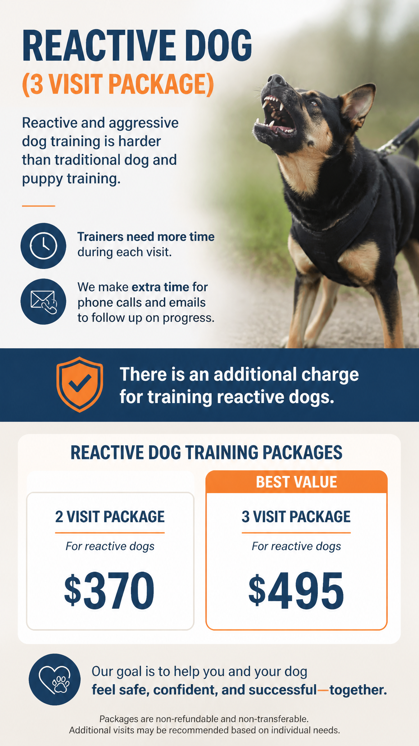 Reactive Dog 3 Session Package (Zen Dog Training)