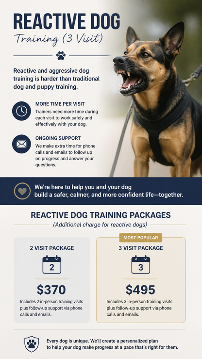 Reactive Dog 3 Session Package (Zen Dog Training)