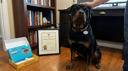 The PACT 2025 Rottweiler Owner's Legal Survival Guide digital PDF for breed-specific legislation and legal advice