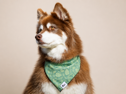 Dog wearing Pine Cone Pup Bandana with pine tree and cone design outdoors
