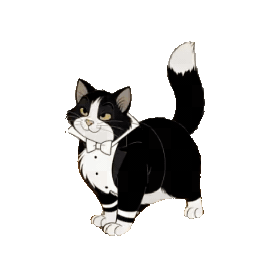 Animated Tuxedo Cat Sticker Pack — 10 GIF Stickers | Instant Digital Download