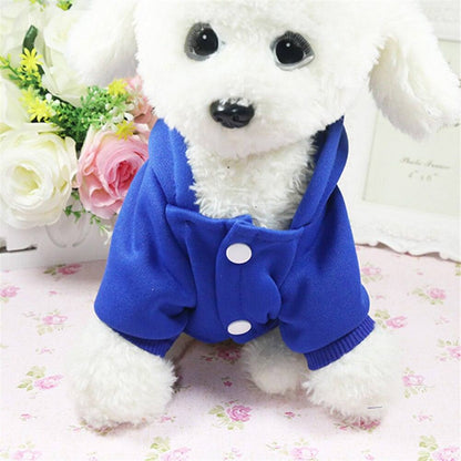 Small white dog wearing a blue cartoon hoodie sweater on floral background