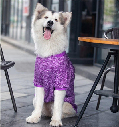 Large white dog wearing purple winter warm pet sweater sitting outdoors