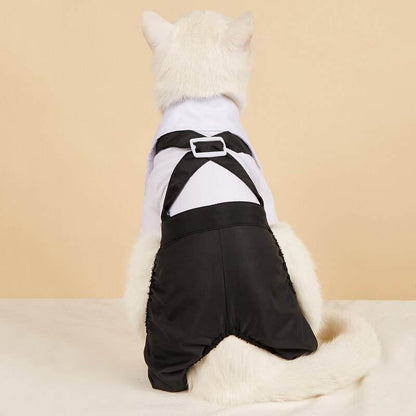 White cat wearing a black and white pet suit with bow tie sitting against beige background