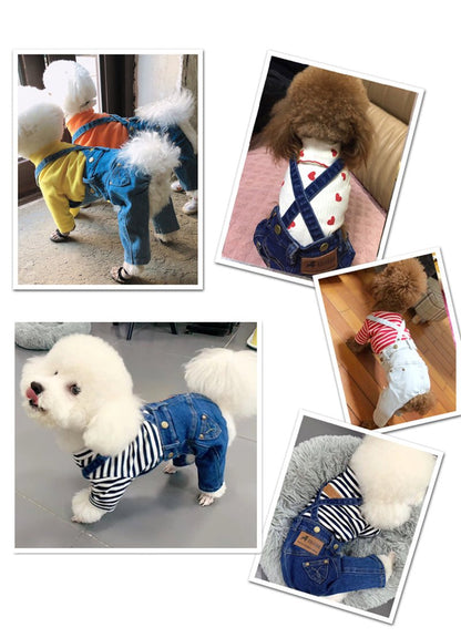 Small dogs wearing stylish denim jumpsuits for dogs in various colors and patterns