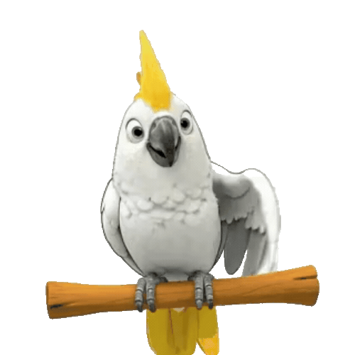Animated Cockatoo Sticker Pack — 10 GIF Stickers | Instant Digital Download
