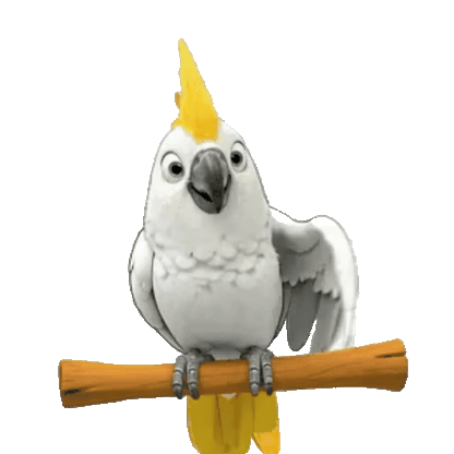 Animated Cockatoo Sticker Pack — 10 GIF Stickers | Instant Digital Download