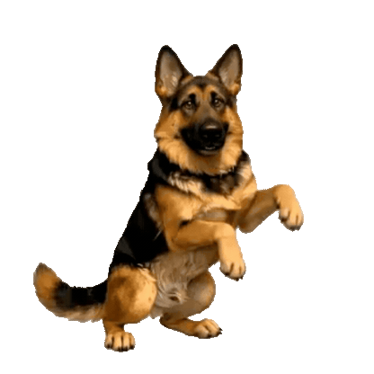 Animated German Shepherd Sticker Pack — 10 GIF Stickers | Instant Digital Download