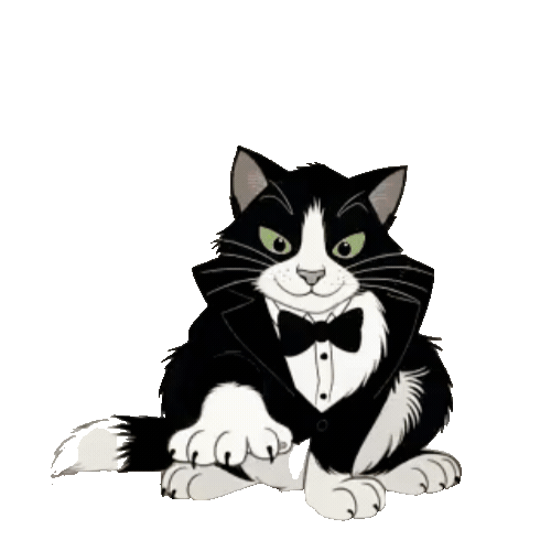 Animated Tuxedo Cat Sticker Pack — 10 GIF Stickers | Instant Digital Download
