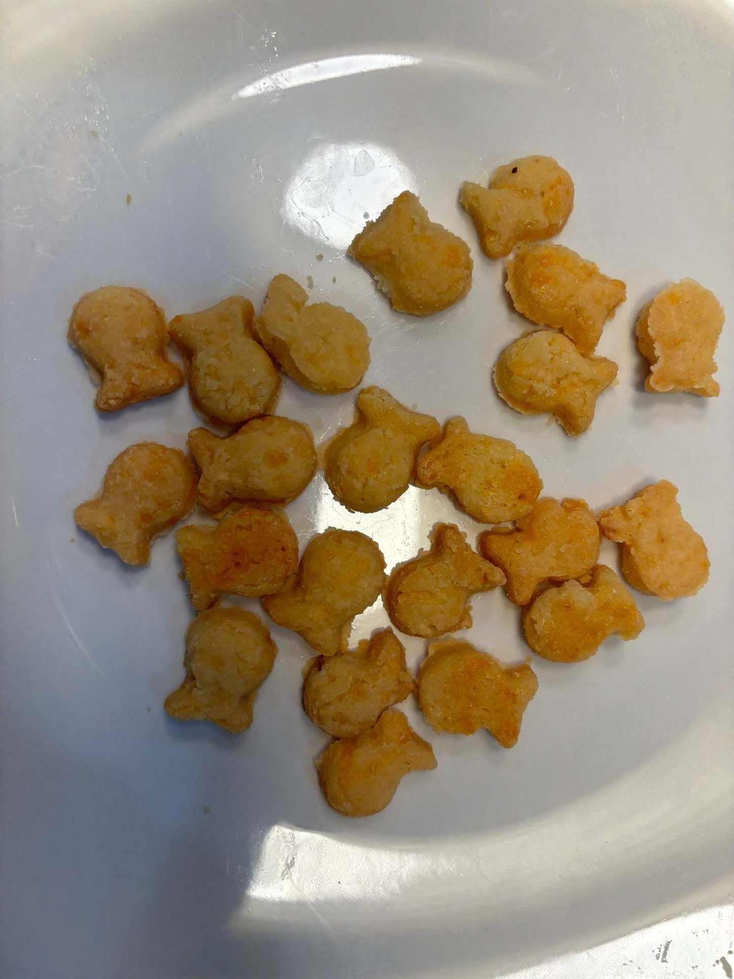 Goldfish Cheddar Treats - Wholesome Organic Dog Snacks for Every Pup