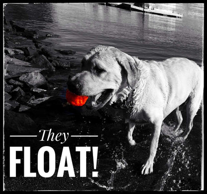 WUNDERball Best Fetch Toy - Durable, Safe & Unpredictable Dog Ball