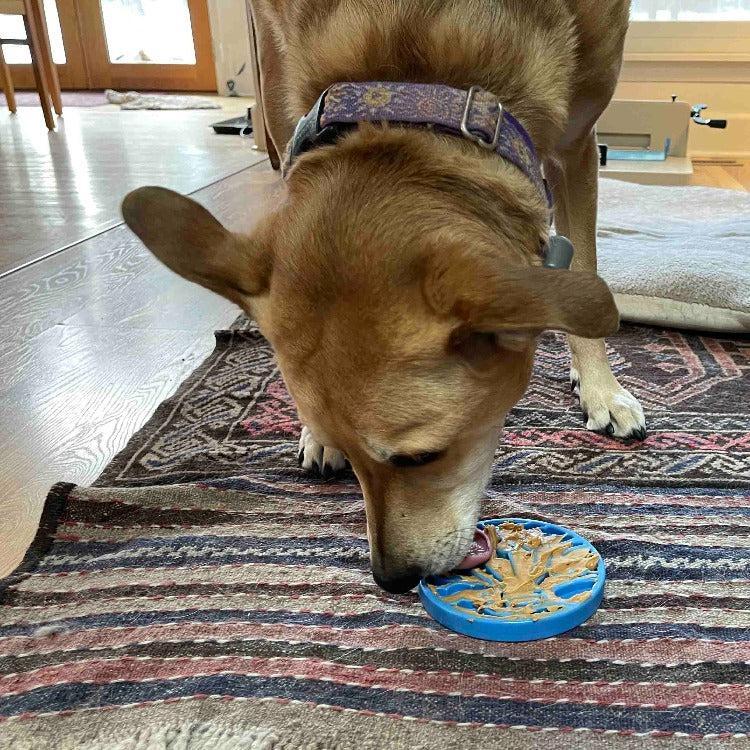 Dog licking peanut butter from blue Air Nylon eCoin durable enrichment lick mat on rug