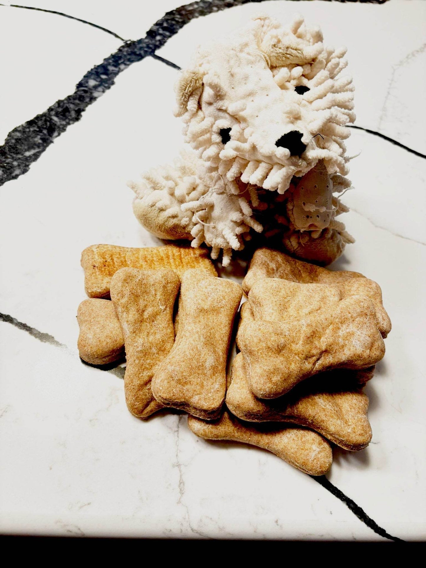 Cheddar Paw Bones crunchy cheesy dog treats with plush dog toy on marble surface
