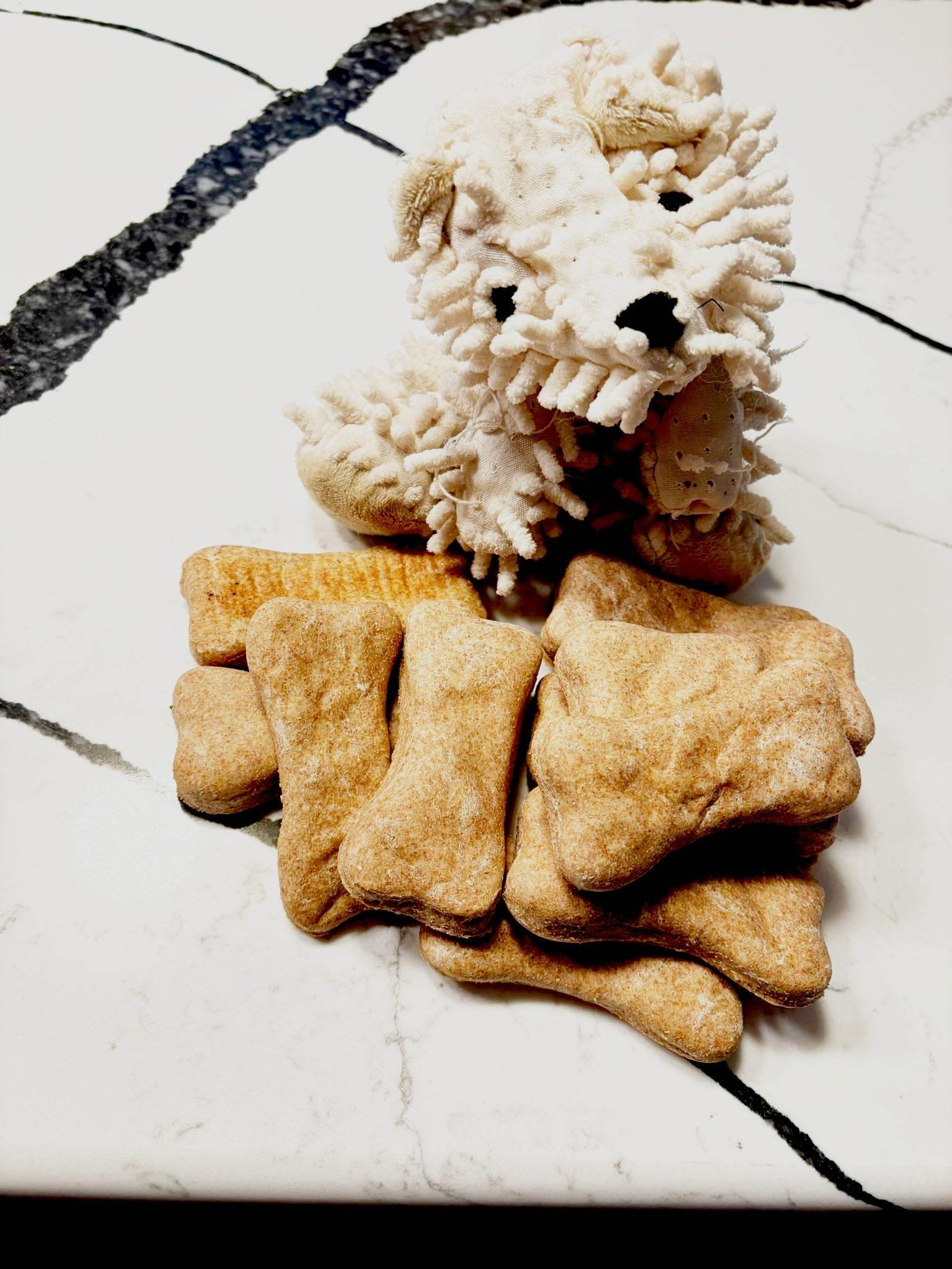 Cheddar Paw Bones crunchy cheesy dog treats with plush dog toy on marble surface