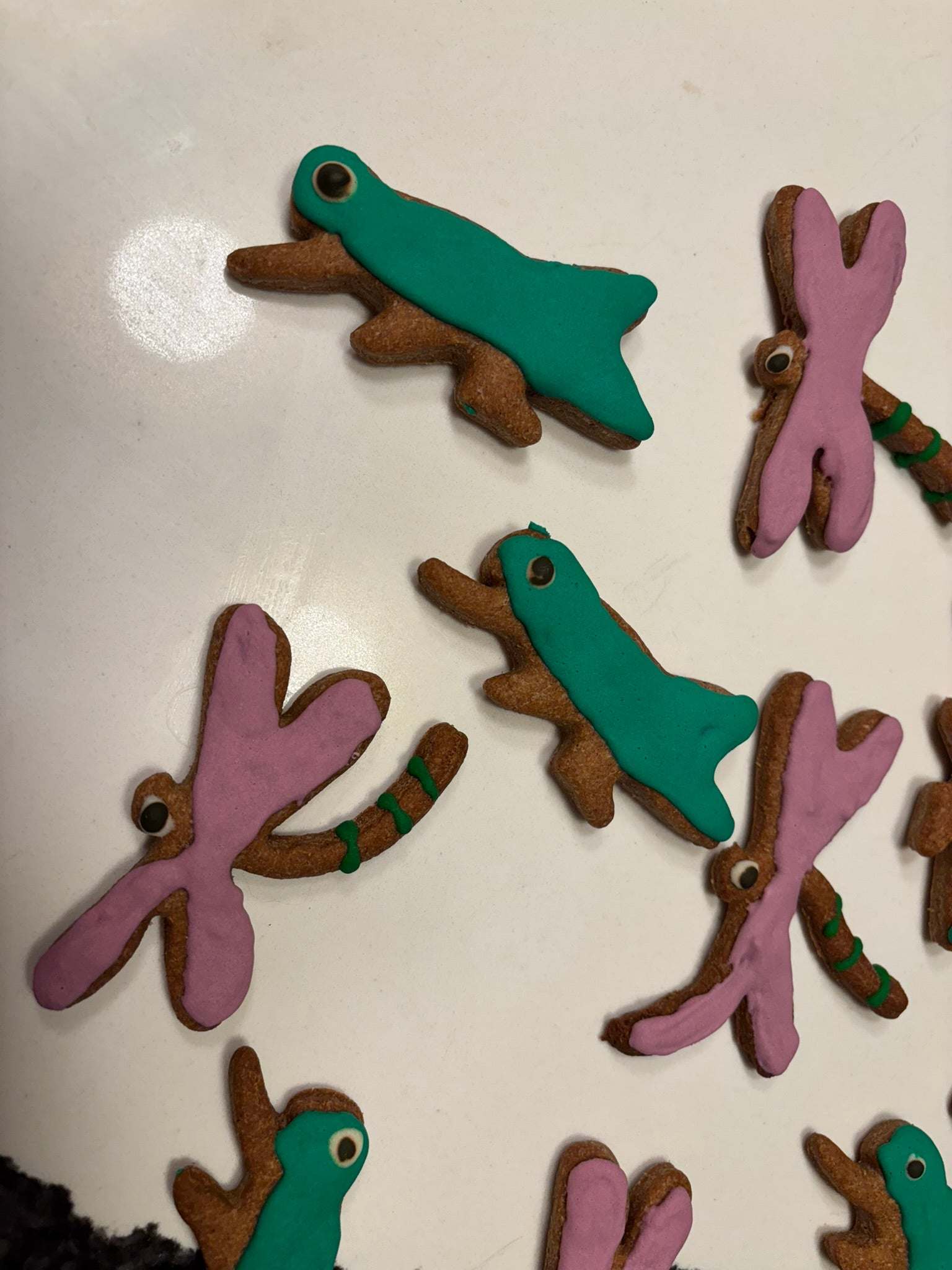 Organic dragonflies and grasshoppers shaped peanut butter dog cookies with colorful icing
