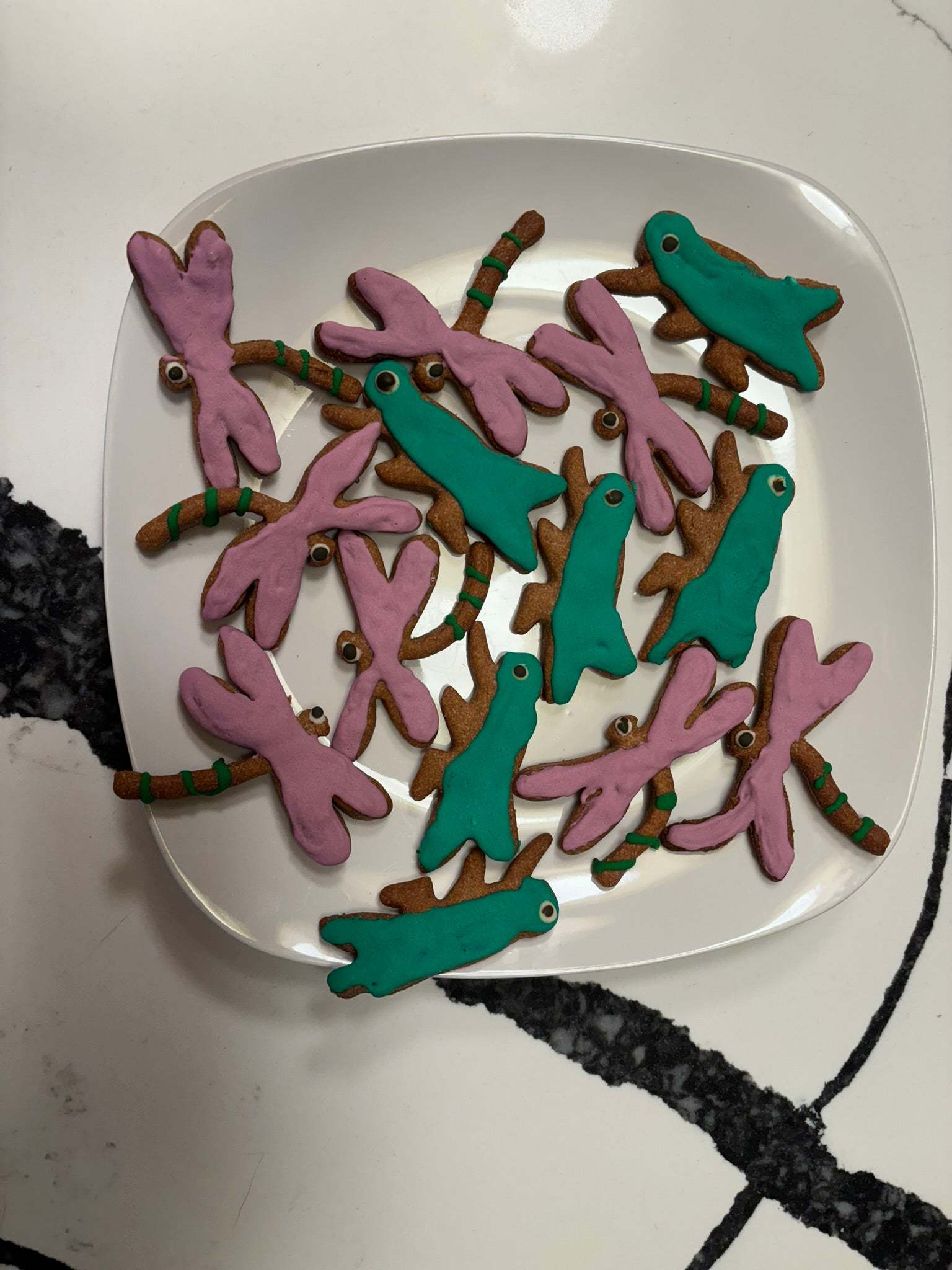 Organic dragonfly and grasshopper shaped peanut butter dog cookies on a white plate