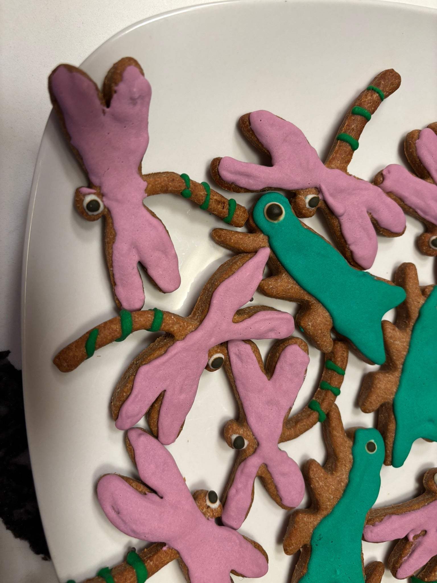 Organic dog cookies shaped like dragonflies and grasshoppers with pink and teal icing on a white plate
