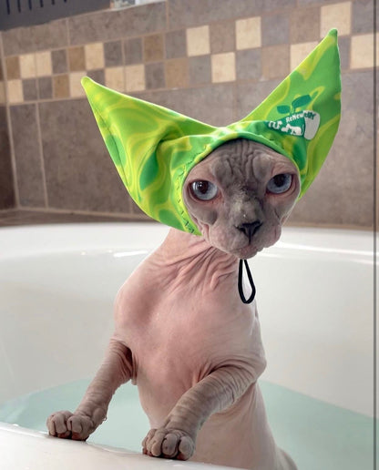hairless cat wearing green pets shower cap in bathtub