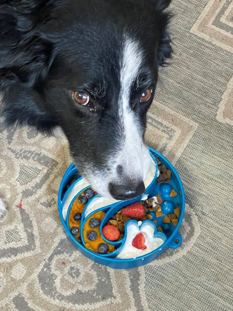 Wave eBowl Deep Slow Feeder Dog Bowl for Enrichment - Made in the USA