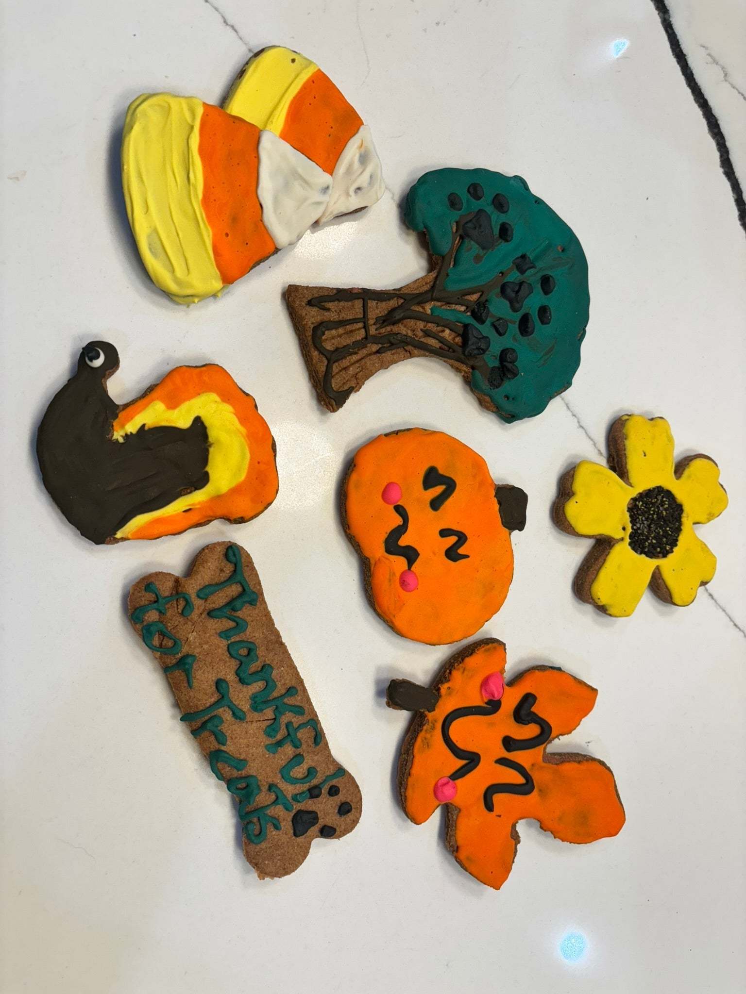 Assorted fall peanut butter dog cookies shaped like candy corn, tree, sunflower, turkey, pumpkin, leaf, and a bone with "Thankful for Treats" text.