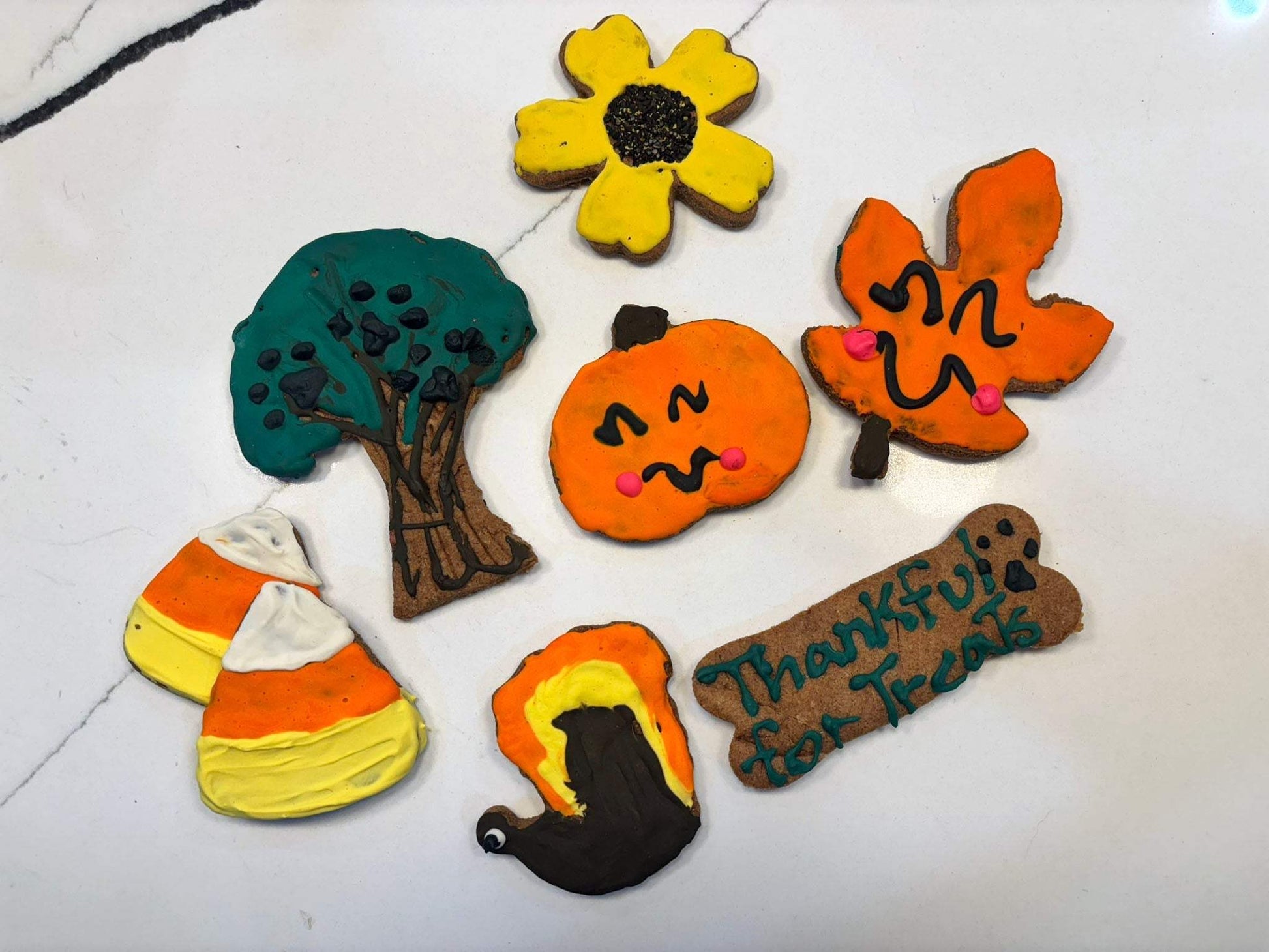 Fall Peanut Butter Dog Cookies shaped like pumpkin, leaf, flower, tree, candy corn, and turkey with colorful icing decoration