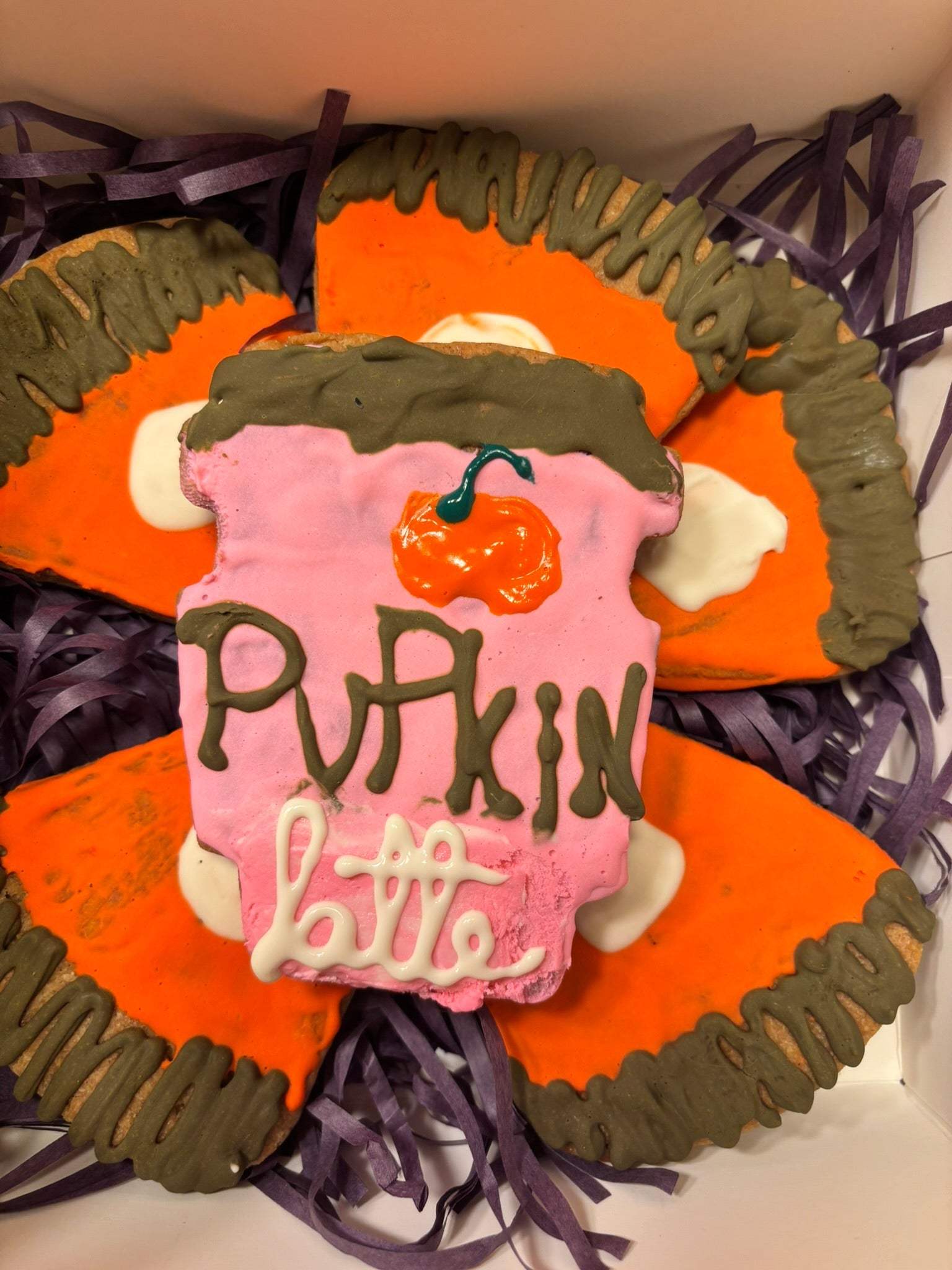 Organic pumpkin latte cookies with peanut butter and cinnamon dog treats in gift box