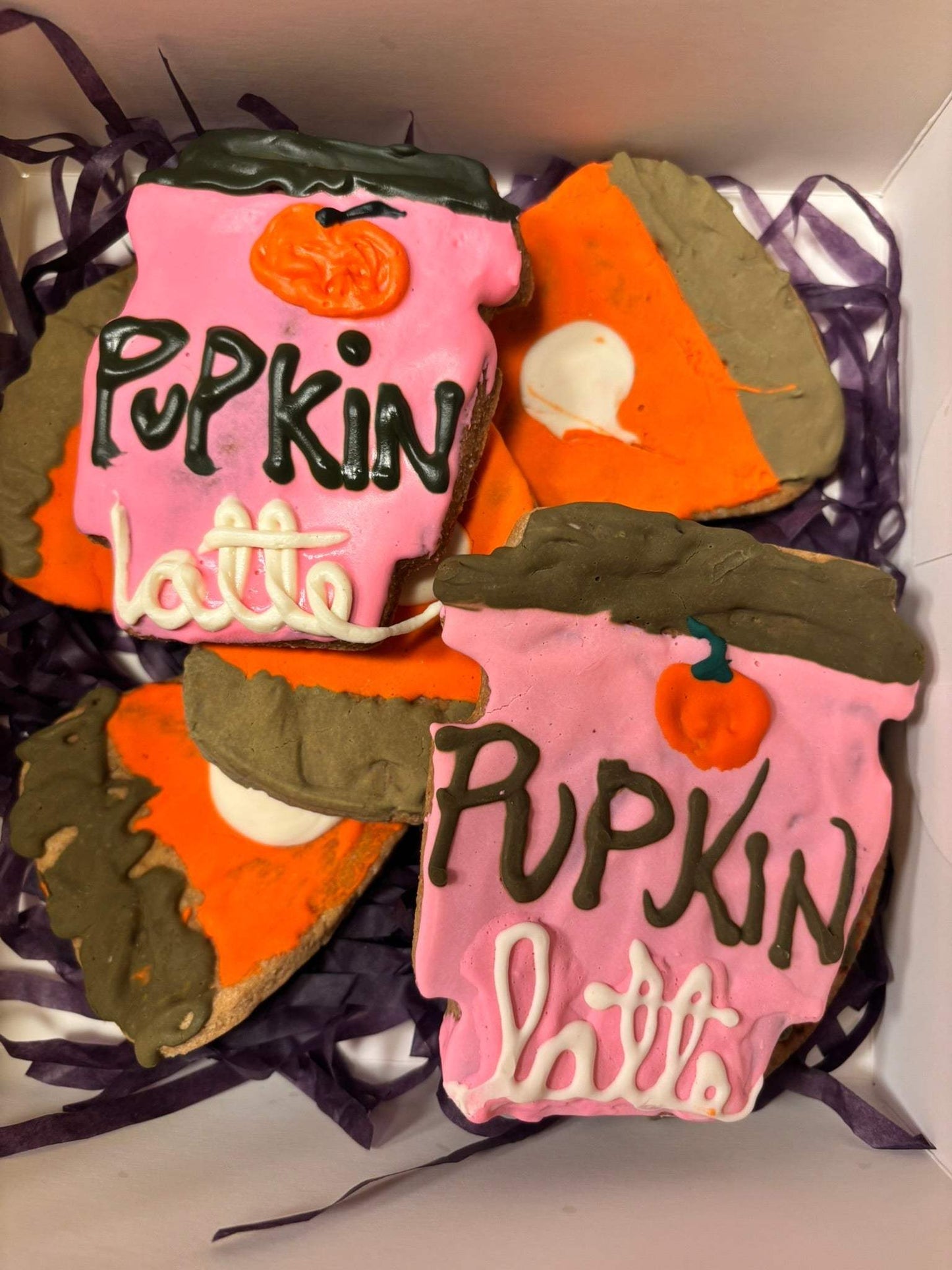Organic Pumpkin Latte Cookies dog treats with peanut butter and cinnamon in gift box