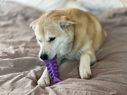 Fish Bone Nylon Dog Toy for Aggressive Chewers | USA Made Durable Chew