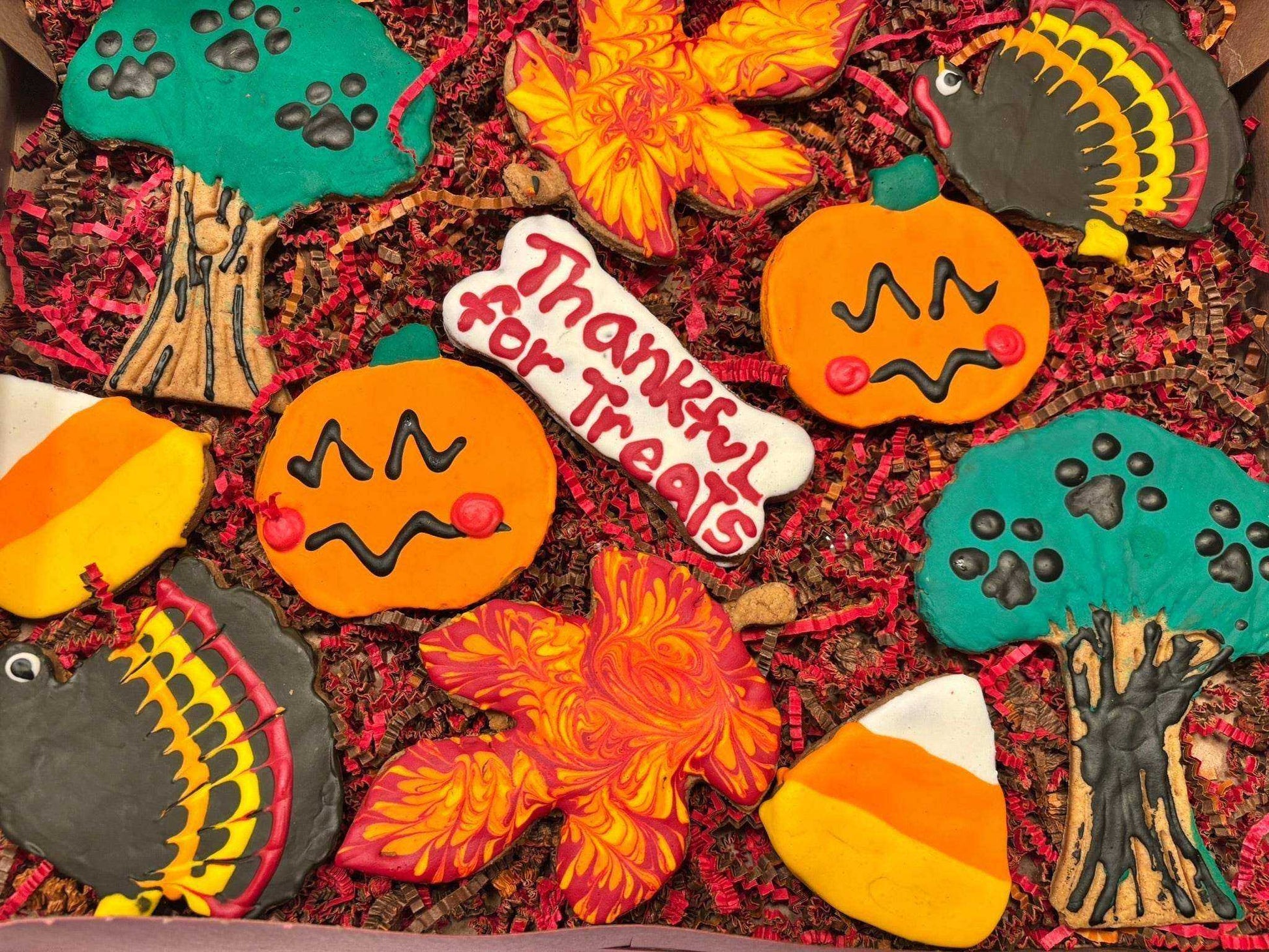 Thanksgiving organic dog cookie box with peanut butter treats in festive shapes