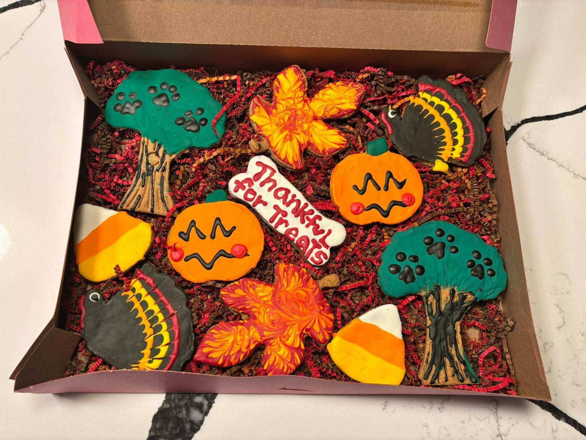 Thanksgiving organic dog cookie box with peanut butter treats in festive autumn shapes