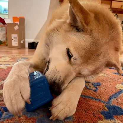 Dog chewing on blue Love Cube eDispenser durable rubber treat dispenser toy on carpet