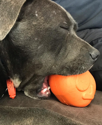 Roasted Turkey Toy: Durable Rubber Treat Dispenser & Chew Toy for Dogs
