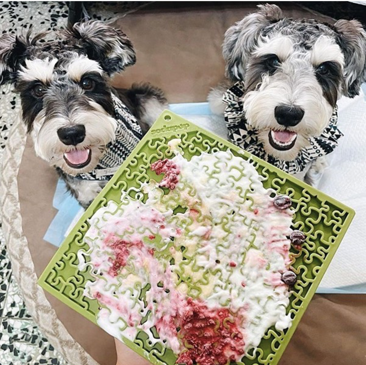 Two dogs licking a green Jigsaw Puzzle eMat filled with yogurt and fruit spread for enrichment and anxiety relief