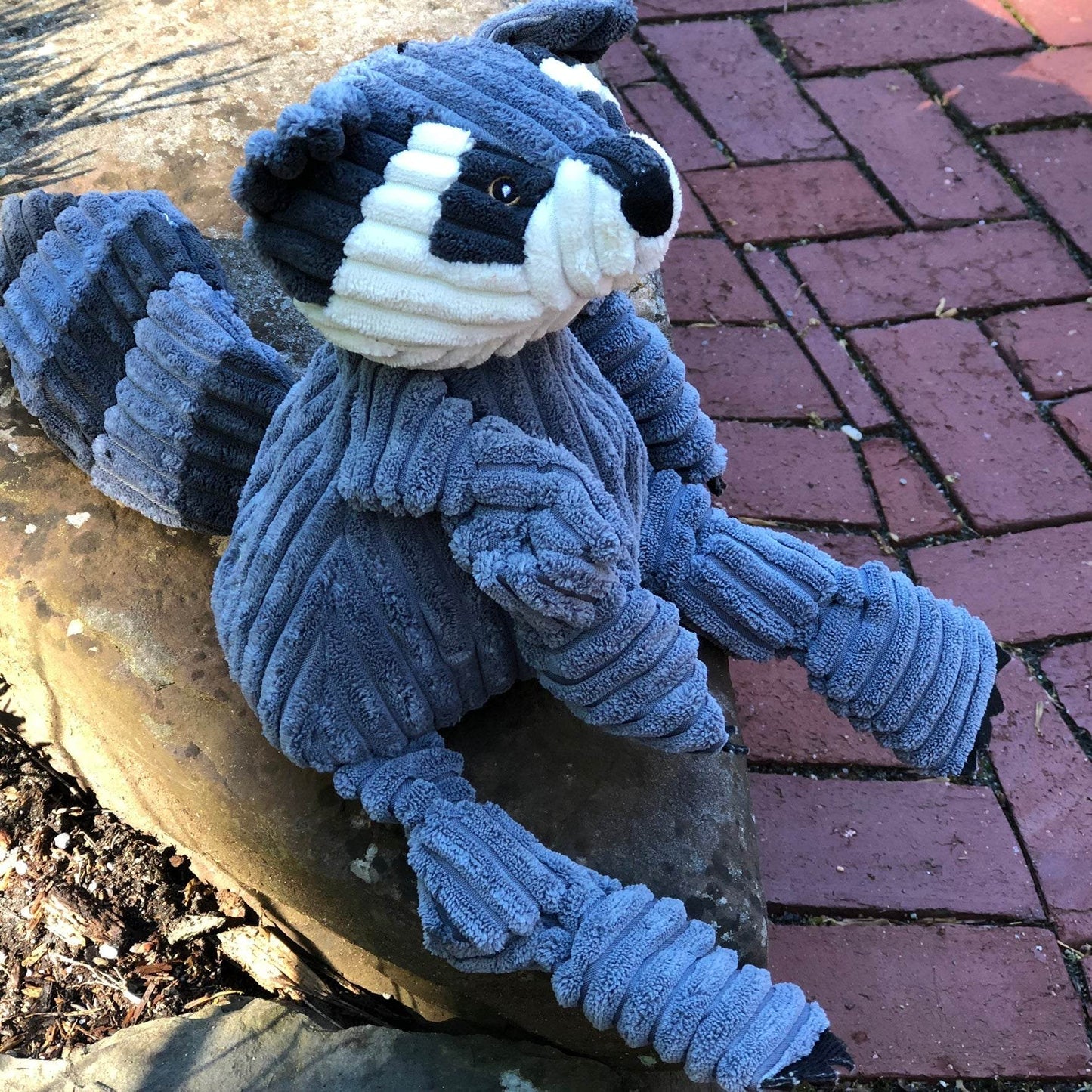 Reggie Raccoon Knottie® plush dog toy with durable knotted design and five squeakers