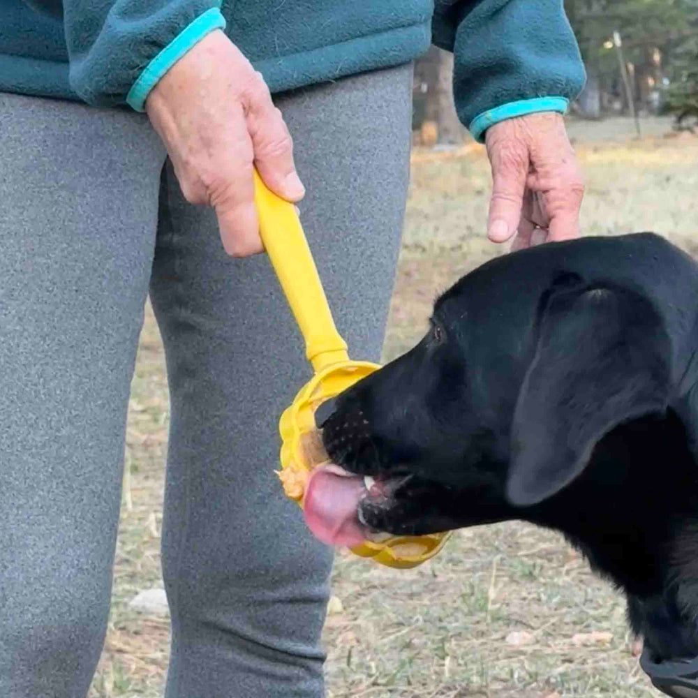 Hand-held dog enrichment toy with textured lick stick for interactive treat dispensing and mental stimulation
