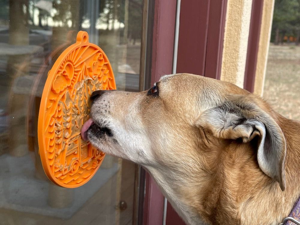 Dog licking orange Camp eMat lick mat with retro camper van design attached to glass window by suction cups for calming enrichment