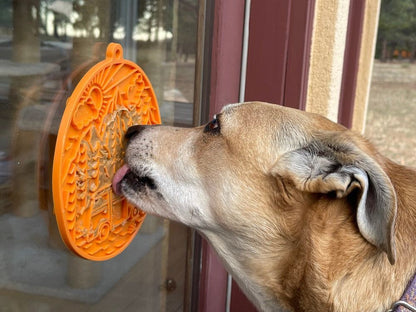 Dog licking orange Camp eMat lick mat with retro camper van design attached to glass window by suction cups for calming enrichment