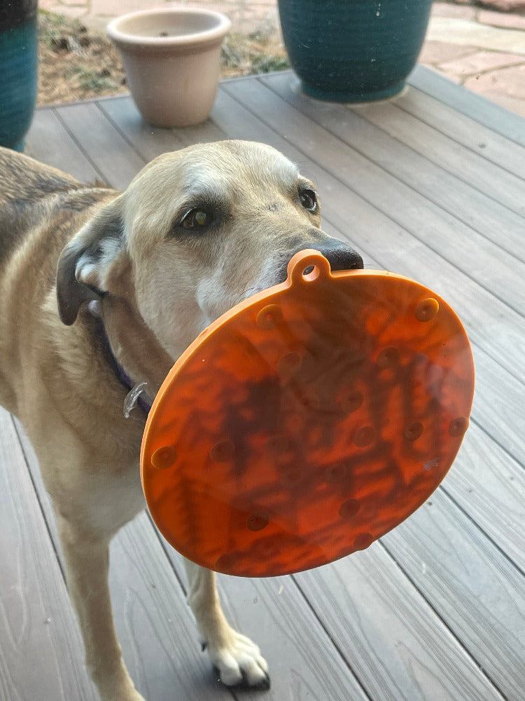 Dog holding orange Camp eMat lick mat with suction cups on wooden deck outdoors