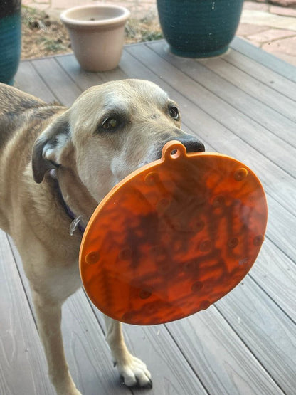 Dog holding orange Camp eMat lick mat with suction cups on wooden deck outdoors