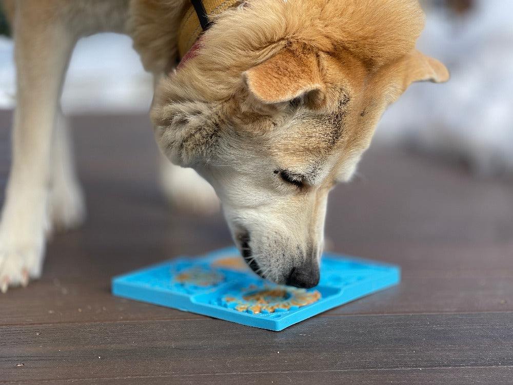 Dog licking blue Sky eMat enrichment lick mat with cloud and star textures for calming mental stimulation