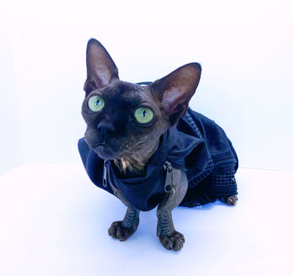 black cat wearing Top Performance Cat or Dog Grooming Bag with mesh inserts for easy bathing and grooming