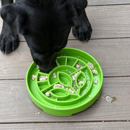 Black dog eating from green Garden Design eTray shallow slow feeder dog bowl on wooden floor
